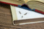 Silverfish feeding on book paper