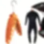 cintrepliableplongee.jpeg