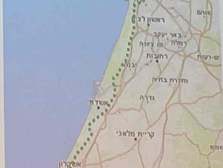 Sycamores stretching from Egypt to Apollonia