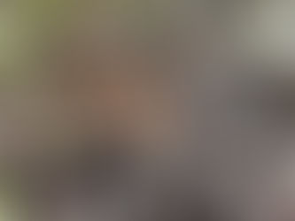 What's eating our rose (Rosaceae)?