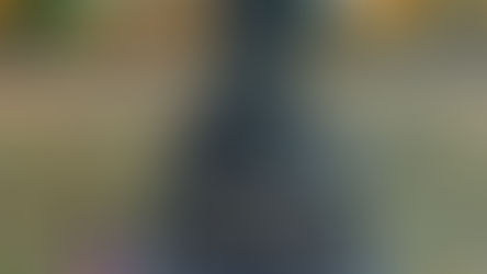 Boatswain George R. Willis