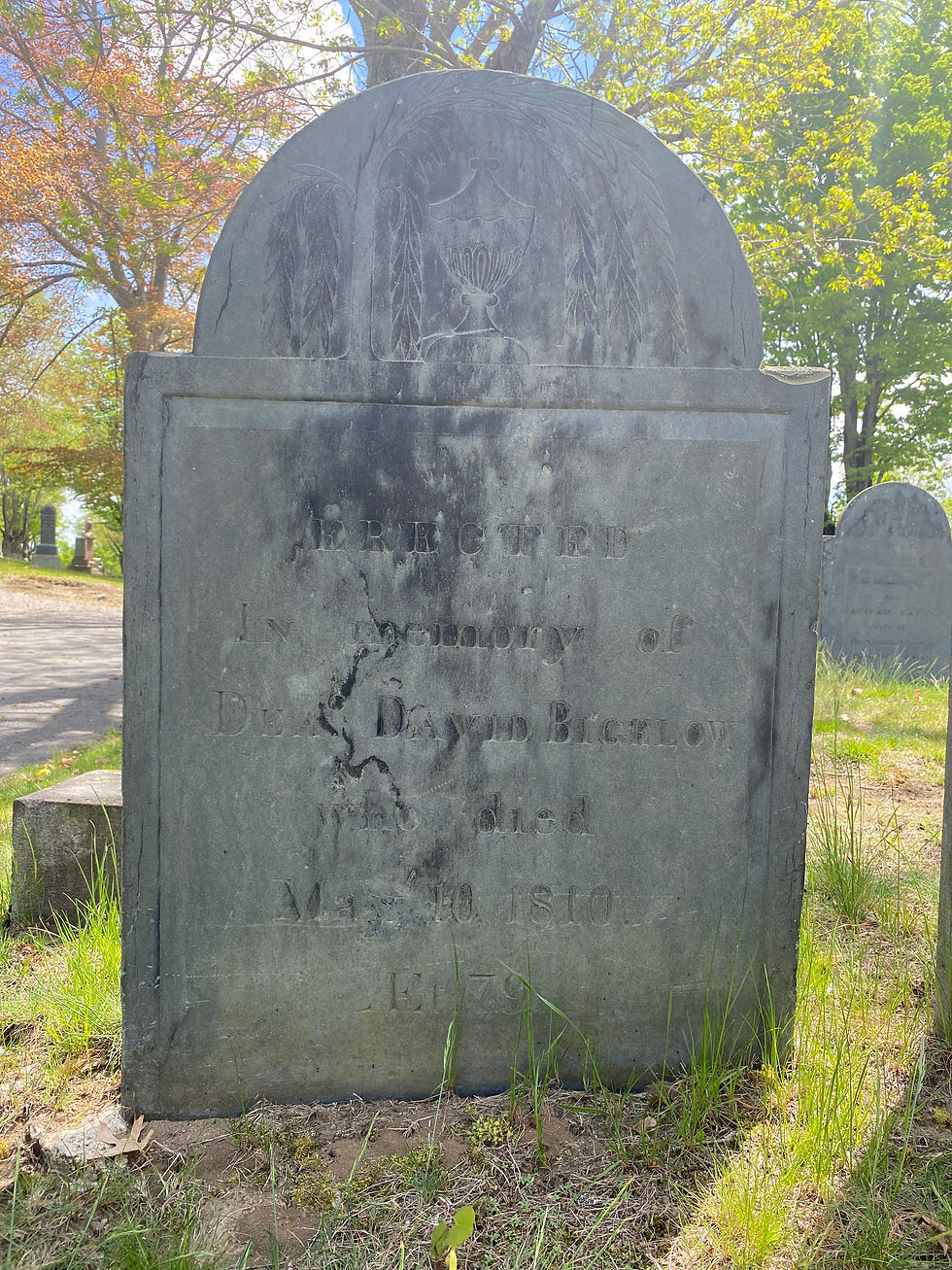 Slate gravestone with an urn and willow design at the top