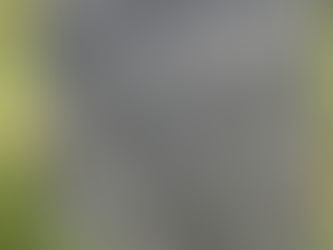 The gravestone of Mr. Daniel Campbell