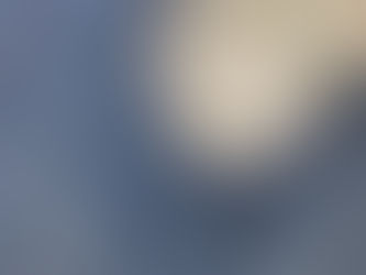 Portrait gravestone of Miss Elizabeth Morton