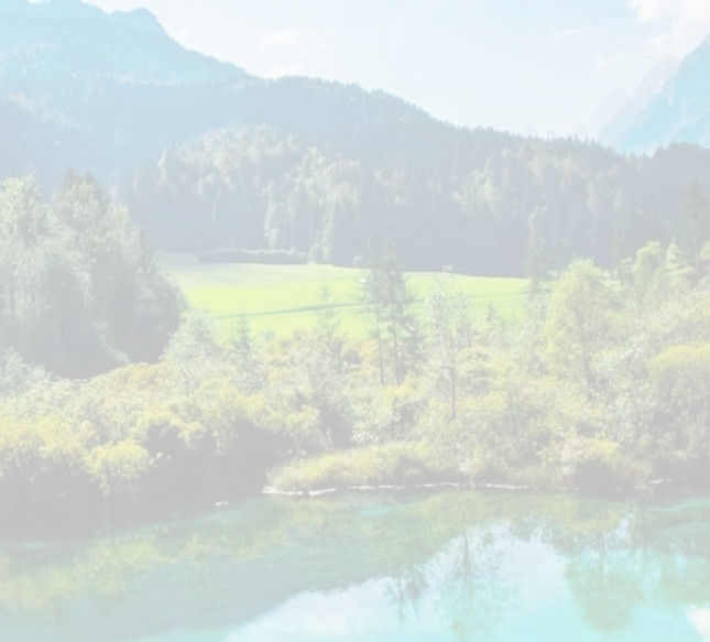 69ed18c5-8c70-4790-bbfc-a9ff5921ae14_edi