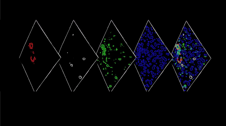 ND_GroupHeader_Reworked.png
