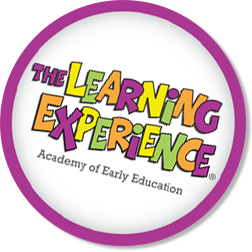 The Learning Experience