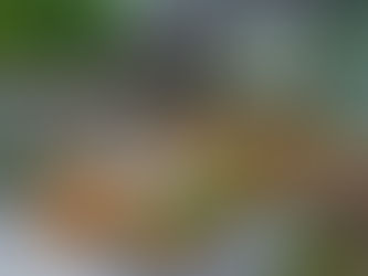 3D rendering of a backyard deck