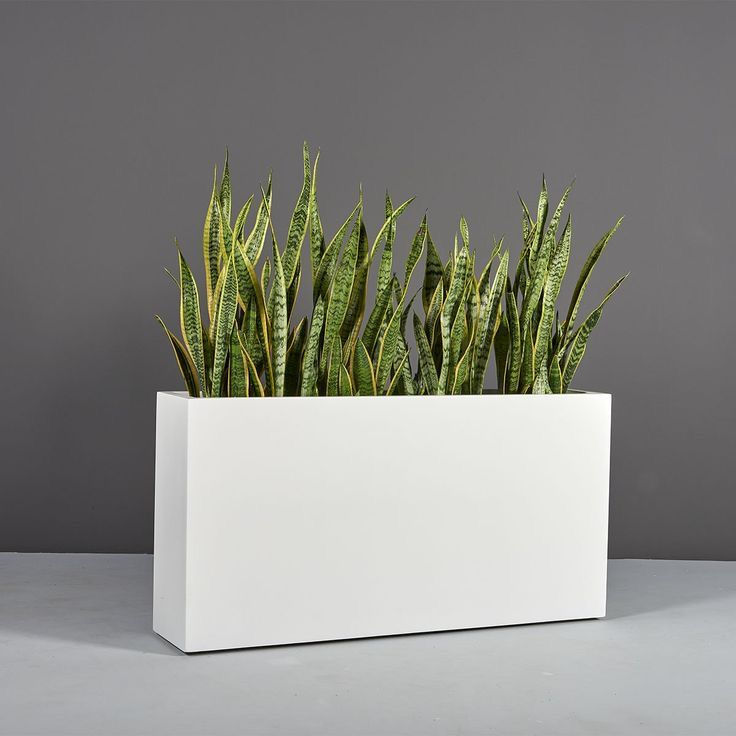 Macetro rectangular alto 