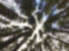 30834C9F-47F1-4EE2-A7EA-AAE6B7D89C65_edited.jpg