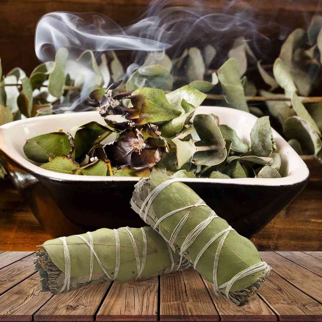 Sage & Eucalyptus Bundle