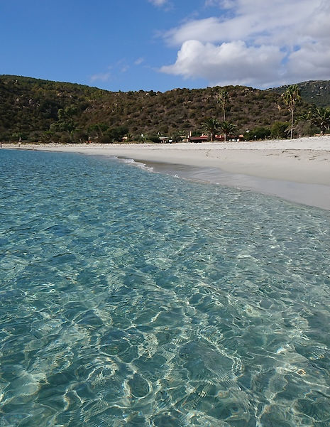 CALA PIRA SPIAGGIA DAL MARE.JPG