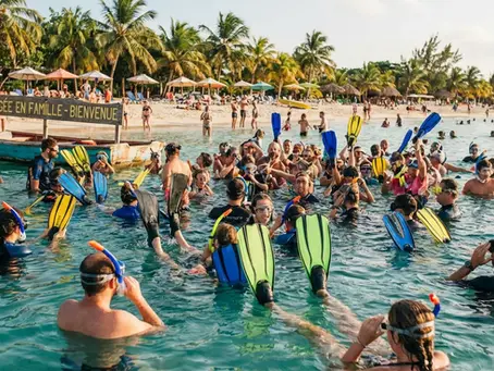 Excursions tortues Zanzibar