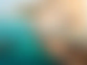 Zanzibar tour privé en français