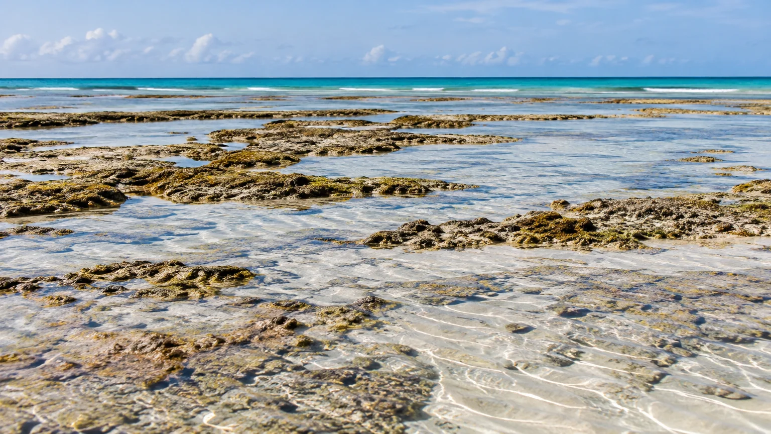 Partir à Zanzibar en septembre : météo, mer et conseils