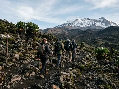 Ascension du Kilimandjaro : guide complet pour réussir 2026