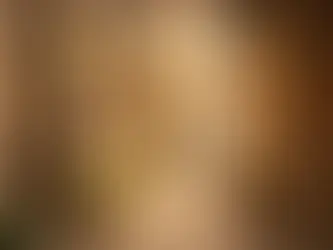 Que faire à Zanzibar