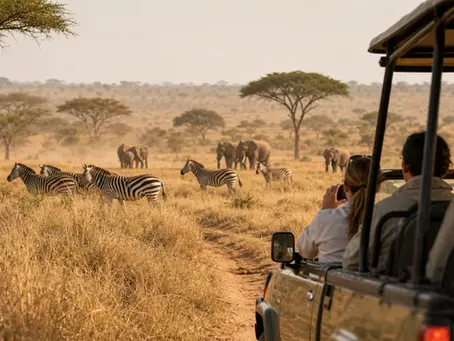 Combiné safari Tanzanie Zanzibar : guide complet 2026