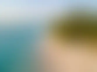 Quand partir à Zanzibar