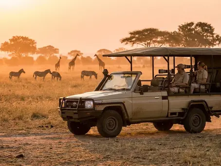Safari en Tanzanie : quel prix et budget prévoir en 2026 ?