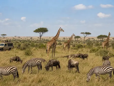 Que faire en Tanzanie : les incontournables à découvrir