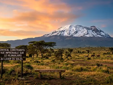Altitude du Kilimandjaro : tout savoir sur le toit d'Afrique