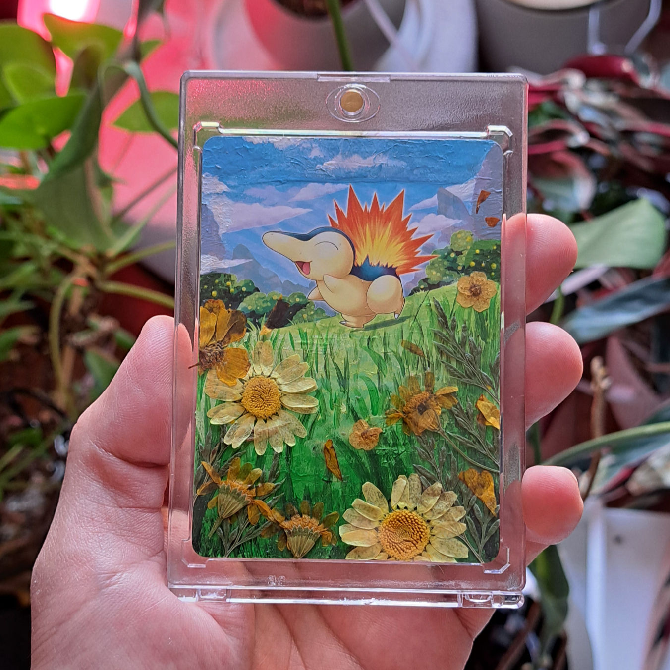 Héricendre - Fleurs Jaunes