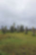 FD351E5C-A4A0-4194-BB91-FC4F4738EAAD_1_105_c.jpeg