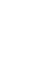 logo runico.png