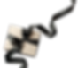 shutterstock_2230061693.png