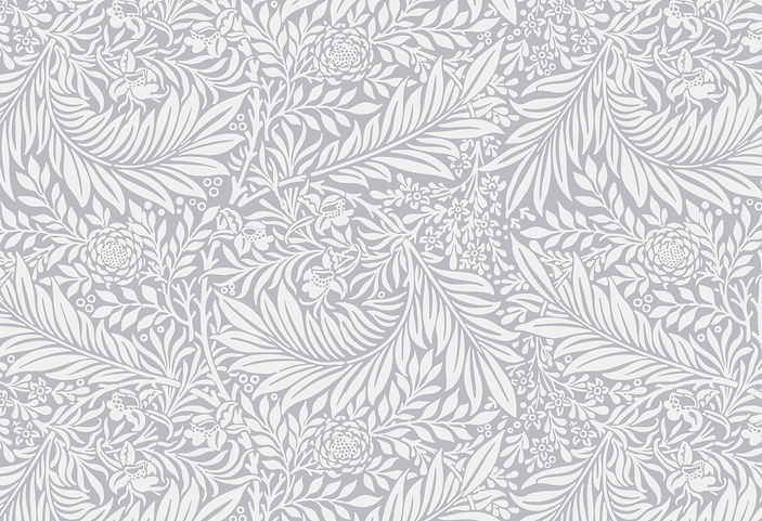 58889.jpg
