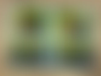 プリいたち 2026年3月