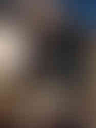 Contemporary 3D Art, Paul Bert Serpette, Antiques market paris, Katie Longshaw-Pye, antique shopping, paris antique shopping, interior designer, ribble valley interior designer, ribble valley, clitheroe, sourcing, antique sourcing, magpye creative interiors, Biron Market, art prints, lighting, antique lighting, unusual art, art sourcing, funiture sourcing, vintage furniture, sculpture, lancashire, unusual interiors, creative interior design, best interior designers