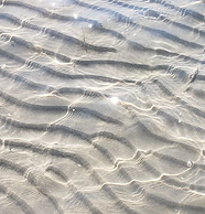 sand and sea marbella