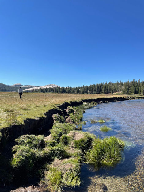 tuolumne meadows, yosemite