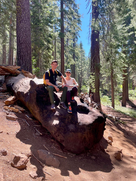 sequoias géants, yosemite