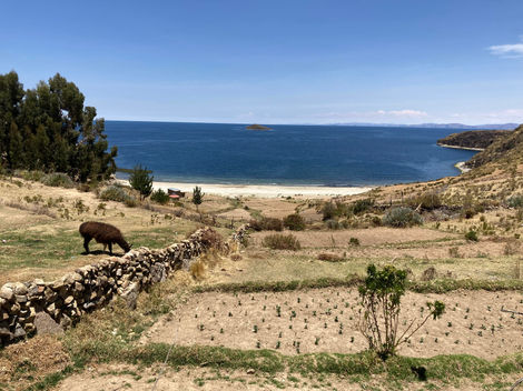 playa de las sirenas, isla del sol