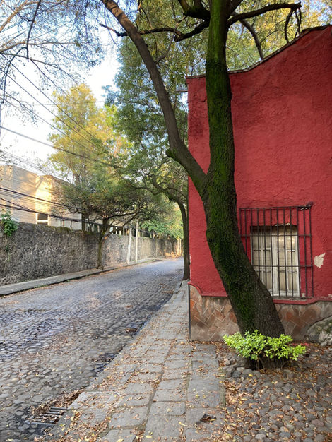 calle arenal