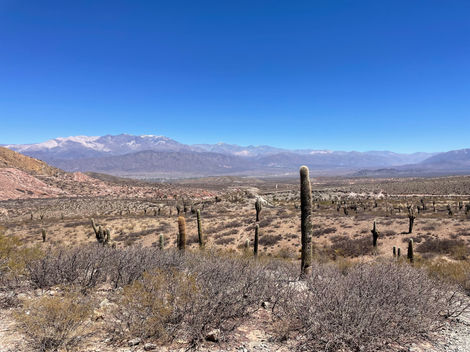 parque nacional los cardones