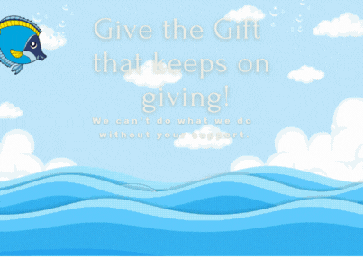 Give the Gift that keeps on giving!.gif