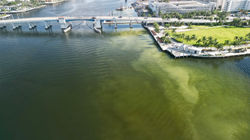 Photo Sep 09 2023, 9 26 39 AM