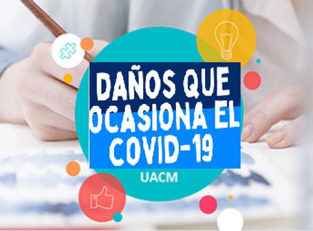 Daños COVID-19.png