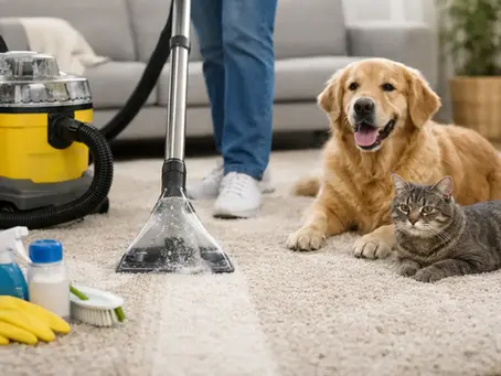 How to Deep Clean Carpets After Pets