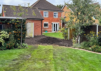 bamboo removal specialists