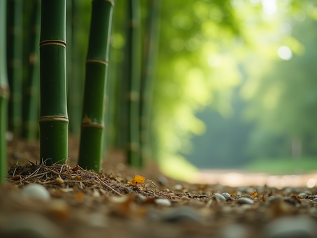 Effective Methods to Remove Bamboo from Your Property
