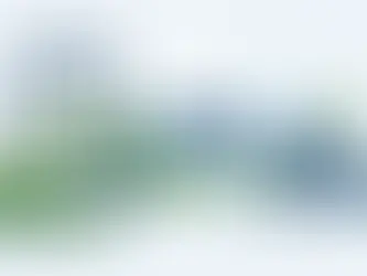 Need a Knotweed Survey for Remortgage?