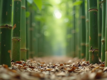 Effective Bamboo Removal Methods: How to Get Rid of Invasive Bamboo