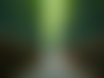 Exploring Bamboo Removal Services UK