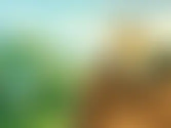 Herbicide or Excavation for Knotweed?