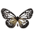 black and yellow butterfly_edited_edited.png